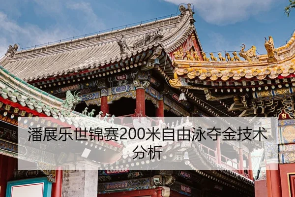 pan-zhan-le-shi-jin-sai-mi-zi-you-yong-duo-jin-ji-shu-fen-xi-3-446.jpg