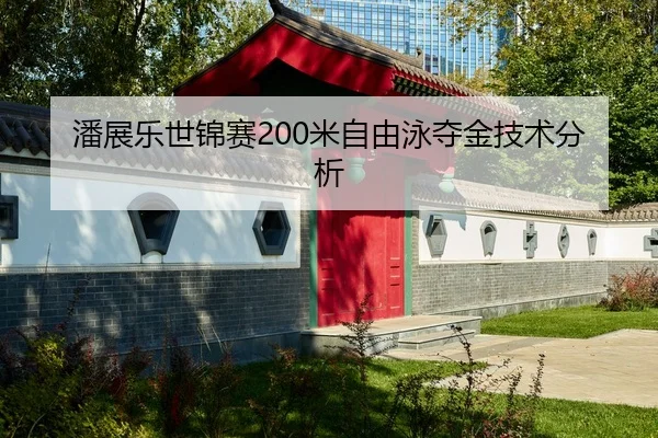 潘展乐世锦赛200米自由泳夺金技术分析